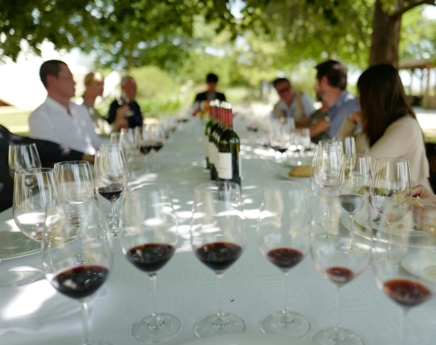 Guests around a long outdoor table, glasses of red wine in the foreground